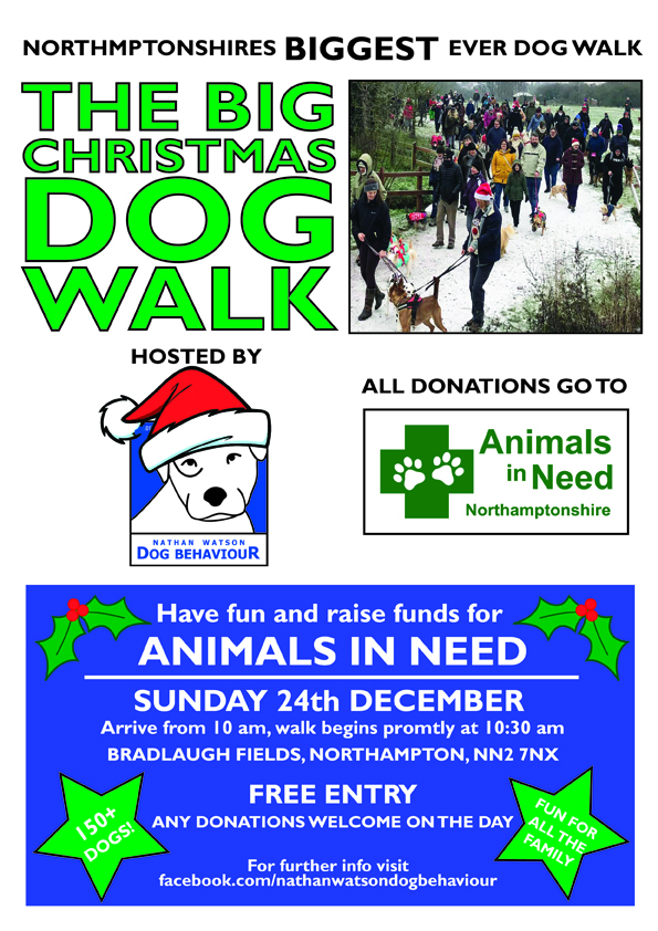 The BIG Christmas Dog Walk for Animals In Need
