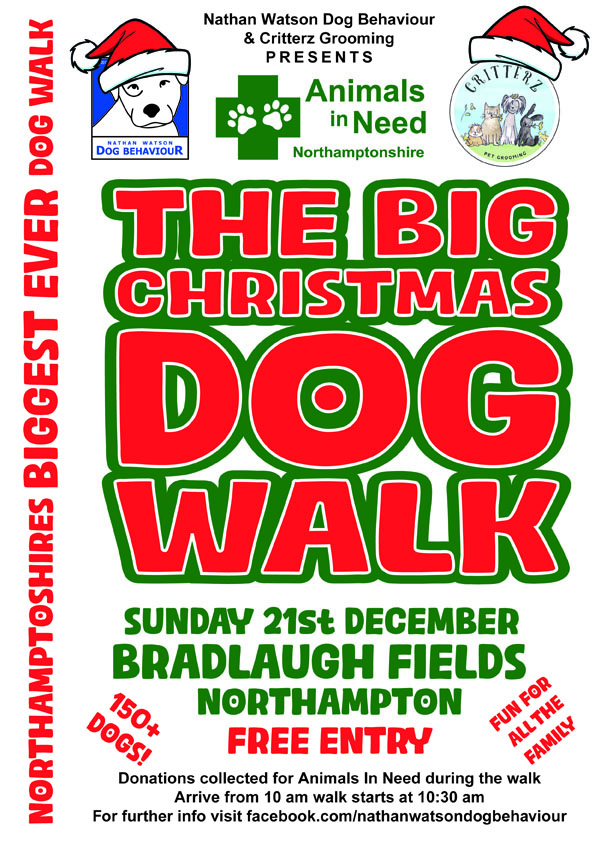 Northampton Christmas Dog Walk